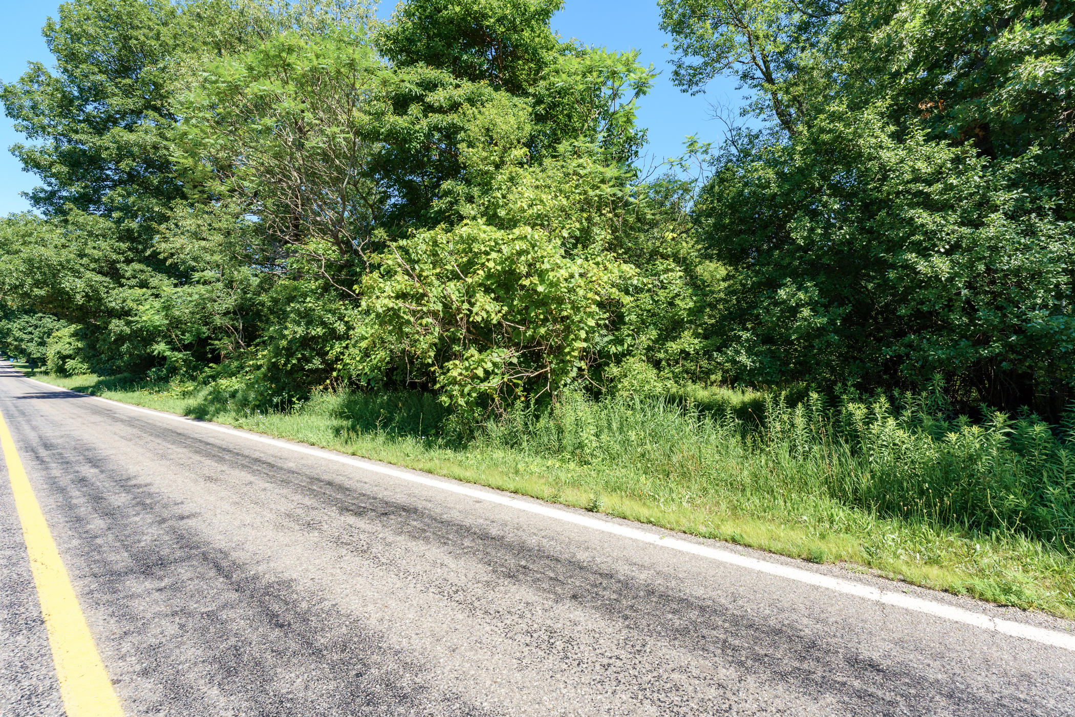 Watkins Road Battle Creek, MI 49015 - Photo 3 of 6 Watkins_Rd_Lot_BattleCreek_49015-1