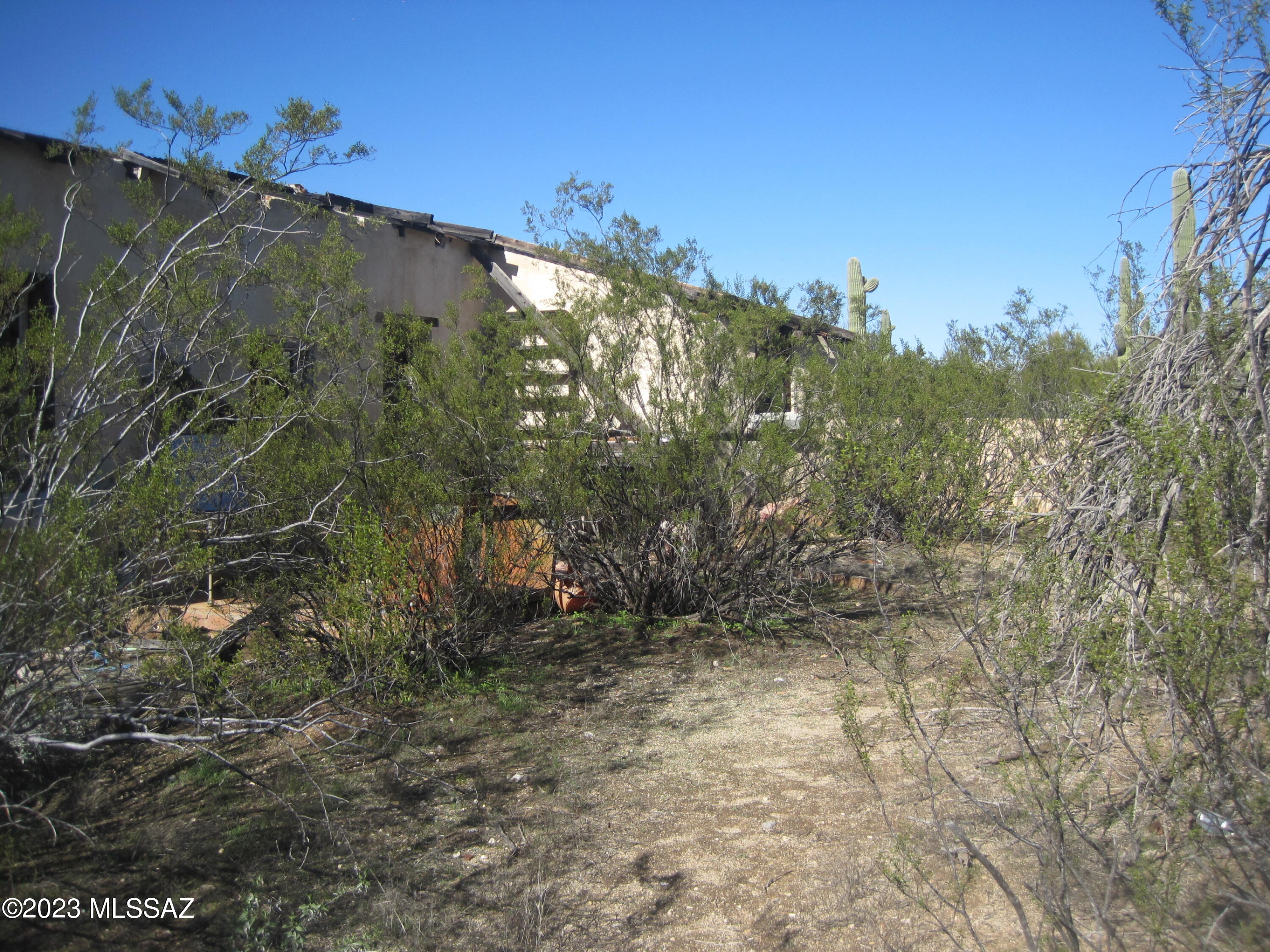 Xxx South Guild Road Marana, AZ 85658 - Photo 14 of 33 Gallery Image 14