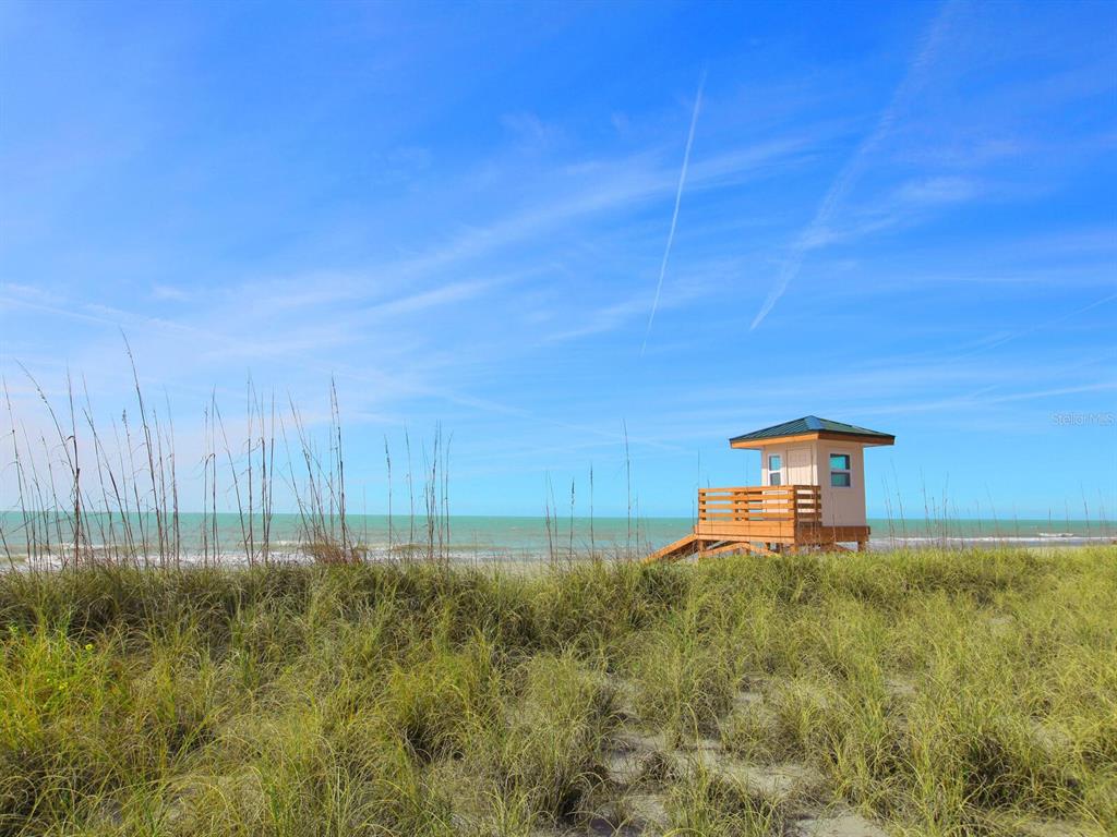 7219 Pine Needle Road Sarasota, FL 34242 - Photo 24 of 30 a big yard with lots of green space and plants