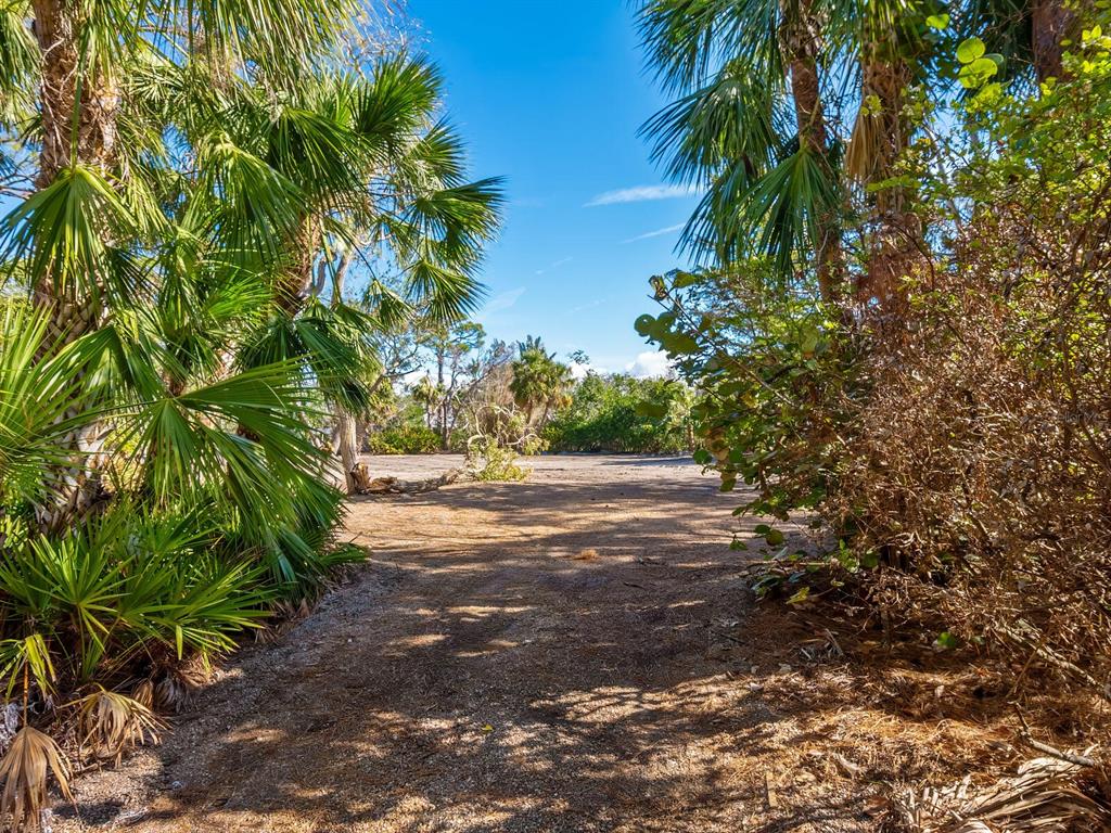 7219 Pine Needle Road Sarasota, FL 34242 - Photo 5 of 30 a view of road and yard