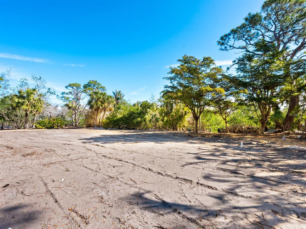 7219 Pine Needle Road Sarasota, FL 34242 - Photo 7 of 30 a view of a yard with a tree