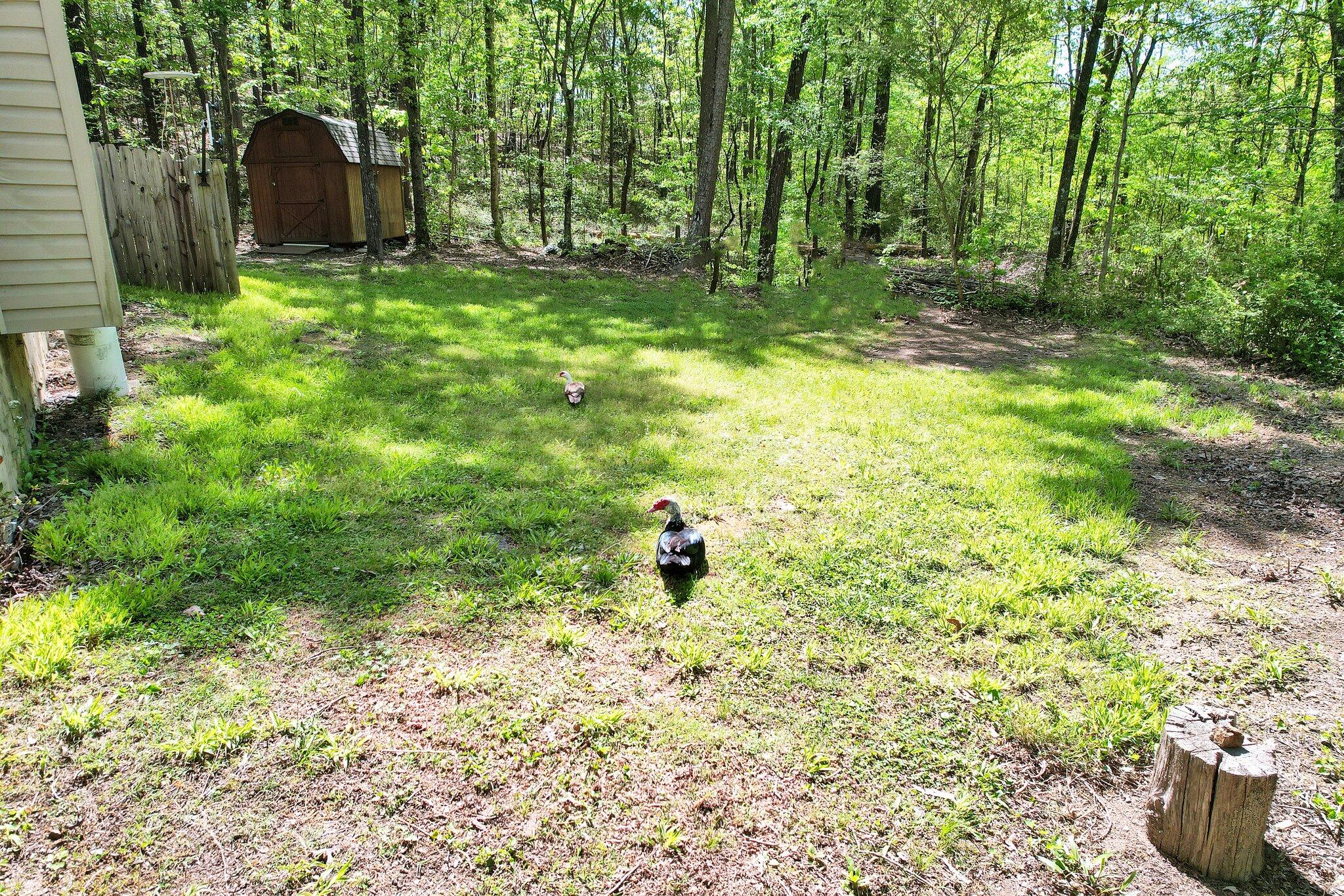 8711 Standifer Gap Road Chattanooga, TN 37421 - Photo 4 of 36 4-web-or-mls-DJI_0973