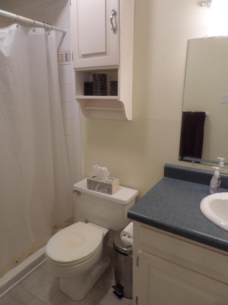 110 Claremont Road Oak Ridge, TN 37830 - Photo 13 of 30 Master Bathroom