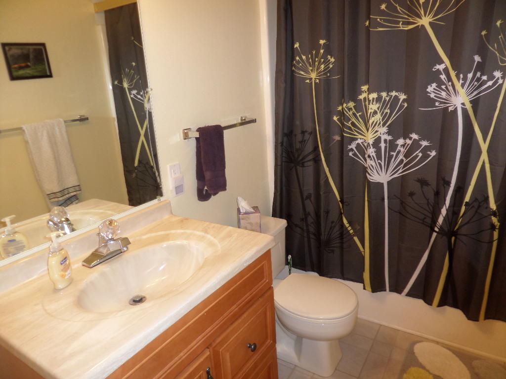 110 Claremont Road Oak Ridge, TN 37830 - Photo 26 of 30 Full Bathroom Garden Level