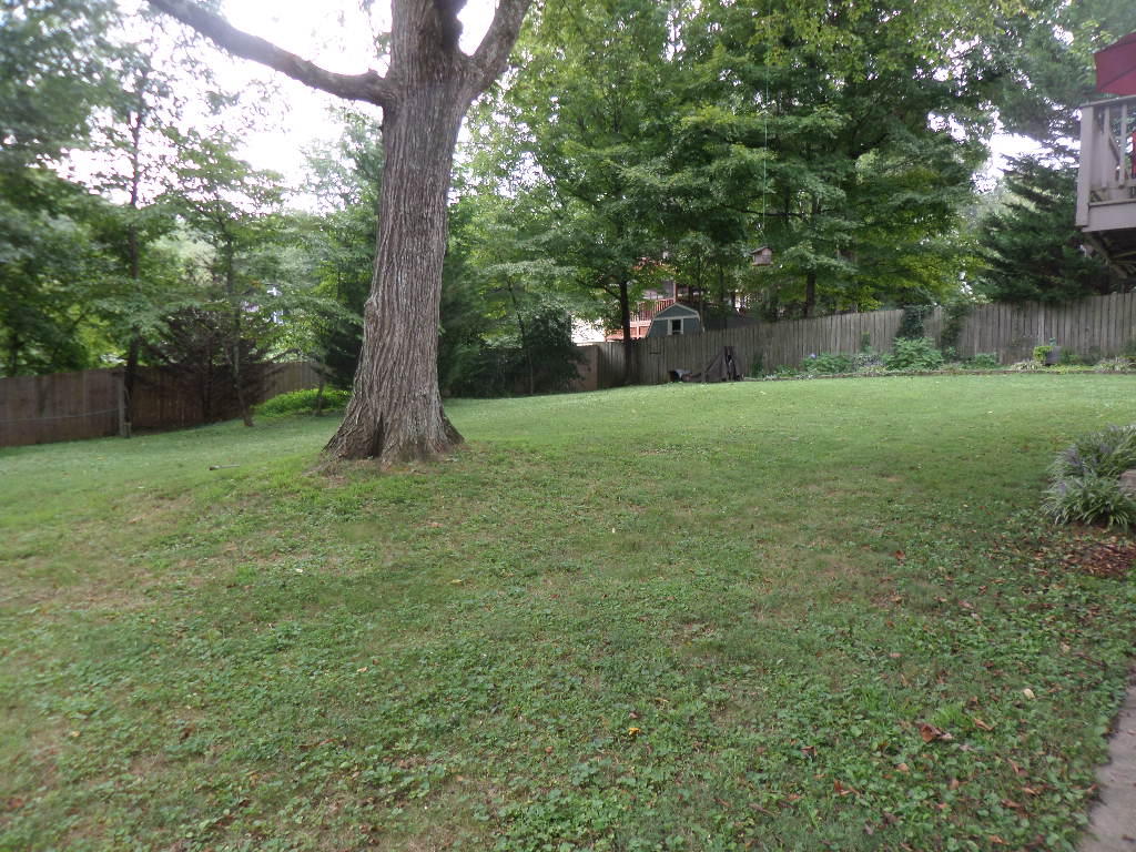 110 Claremont Road Oak Ridge, TN 37830 - Photo 29 of 30 Back Yard