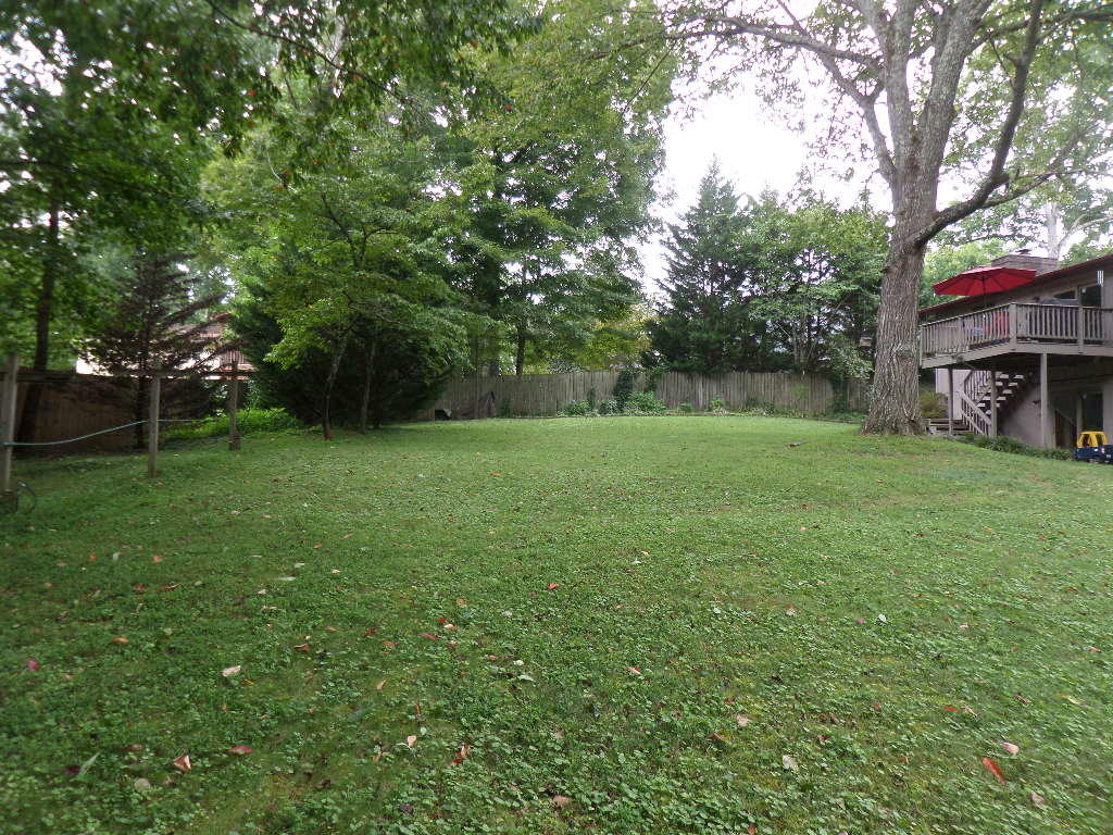 110 Claremont Road Oak Ridge, TN 37830 - Photo 30 of 30 Back Yard