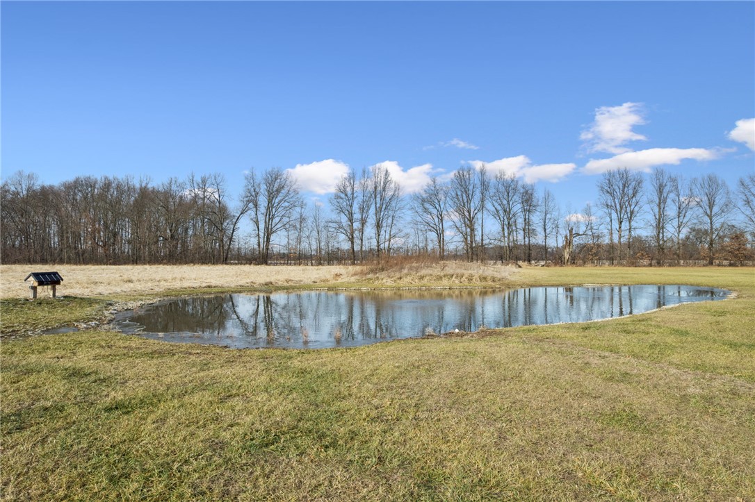 1602 Westboro Road Blanchester, OH 45107 - Photo 41 of 81 This verdant expanse features a serene pond reflecting the clear sky and distant trees.