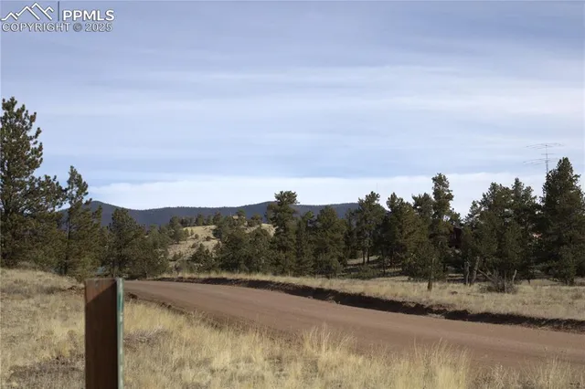 a view of a dry yard with wooden fence