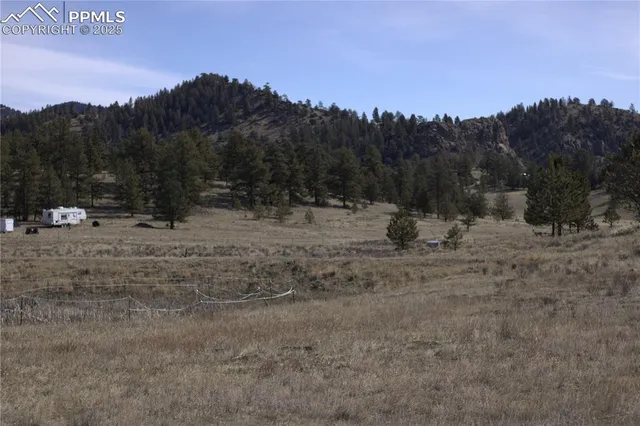 a view of outdoor space with green field and trees