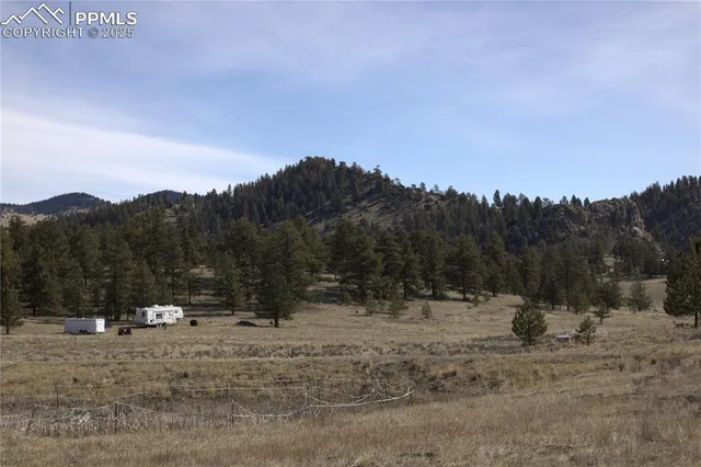 a view of a outdoor space with trees