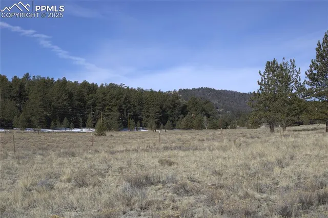 a view of dirt field with trees in background