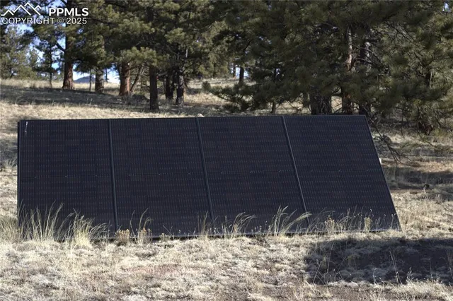 a wooden fence covered with tall trees