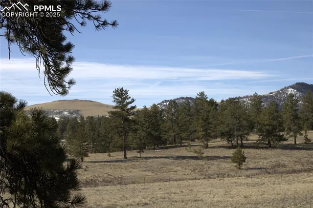 a view of a yard with mountain