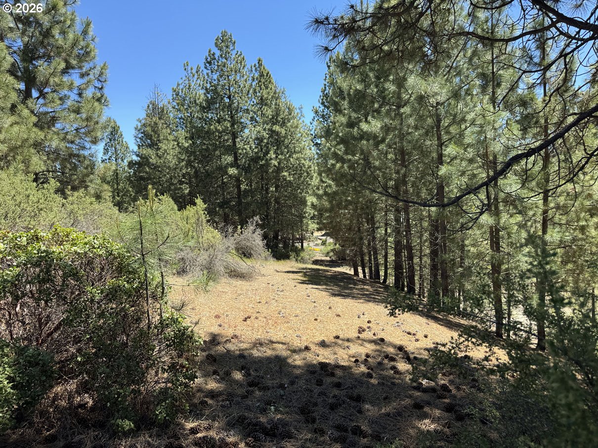 Friendship Drive, Unit 12 Chiloquin, OR 97624 - Photo 3 of 28
