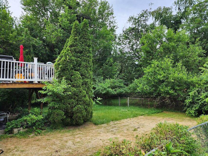 3038 Cove Road Roanoke, VA 24017 - Photo 3 of 3 3038 backyard