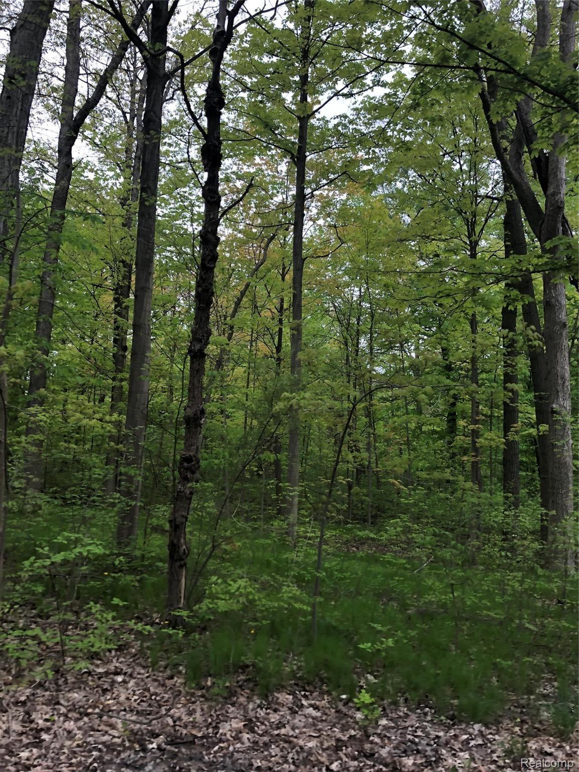 66591 Campground Road Washington, MI 48095 - Photo 6 of 11 IMG_3949.jpeg