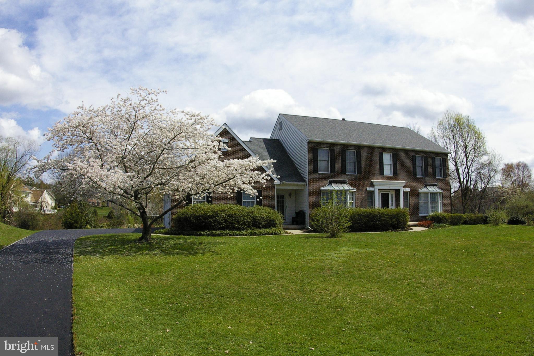 New Driveway