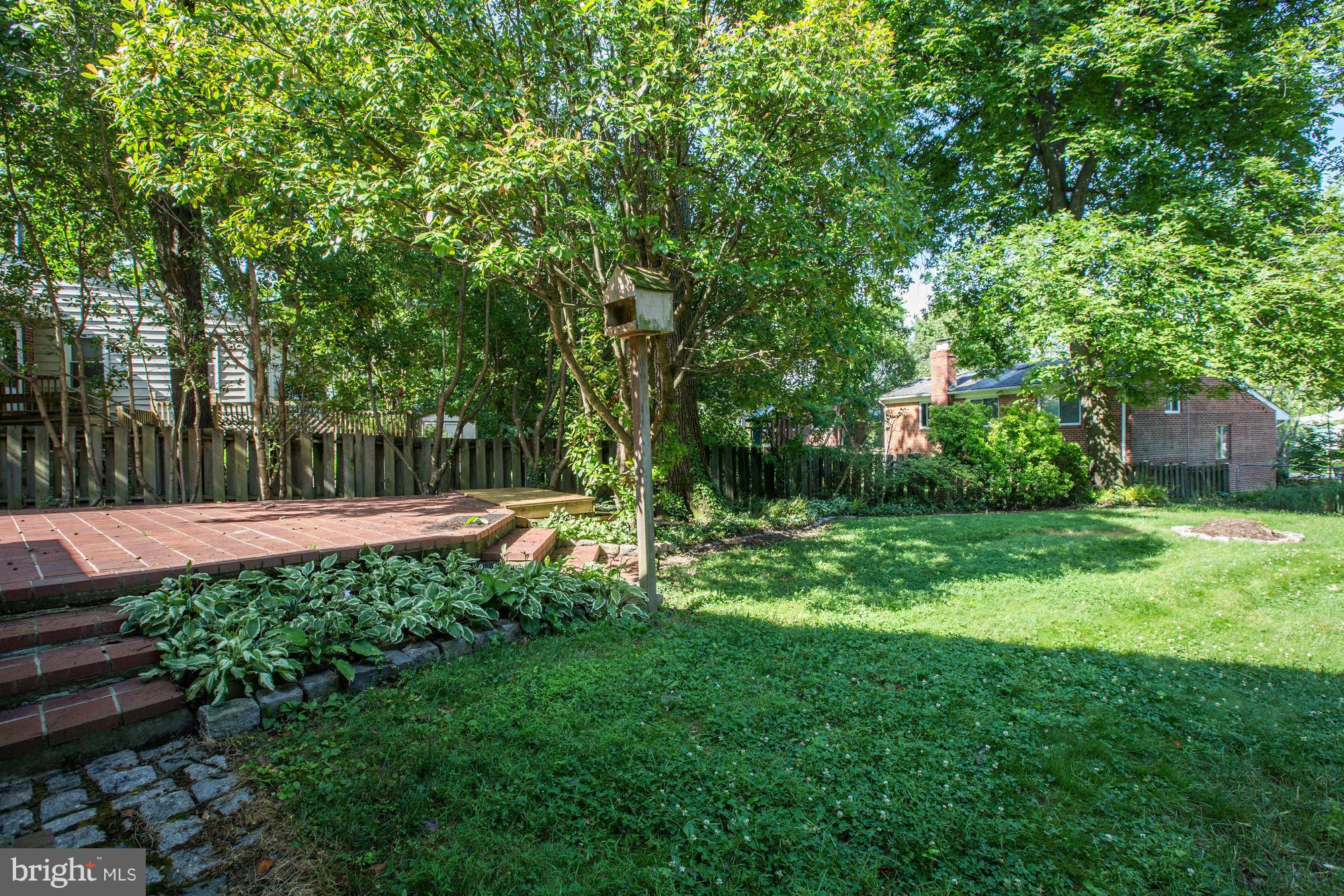 10123 Renfrew Road Silver Spring, MD 20901 - Photo 14 of 18 a view of a garden