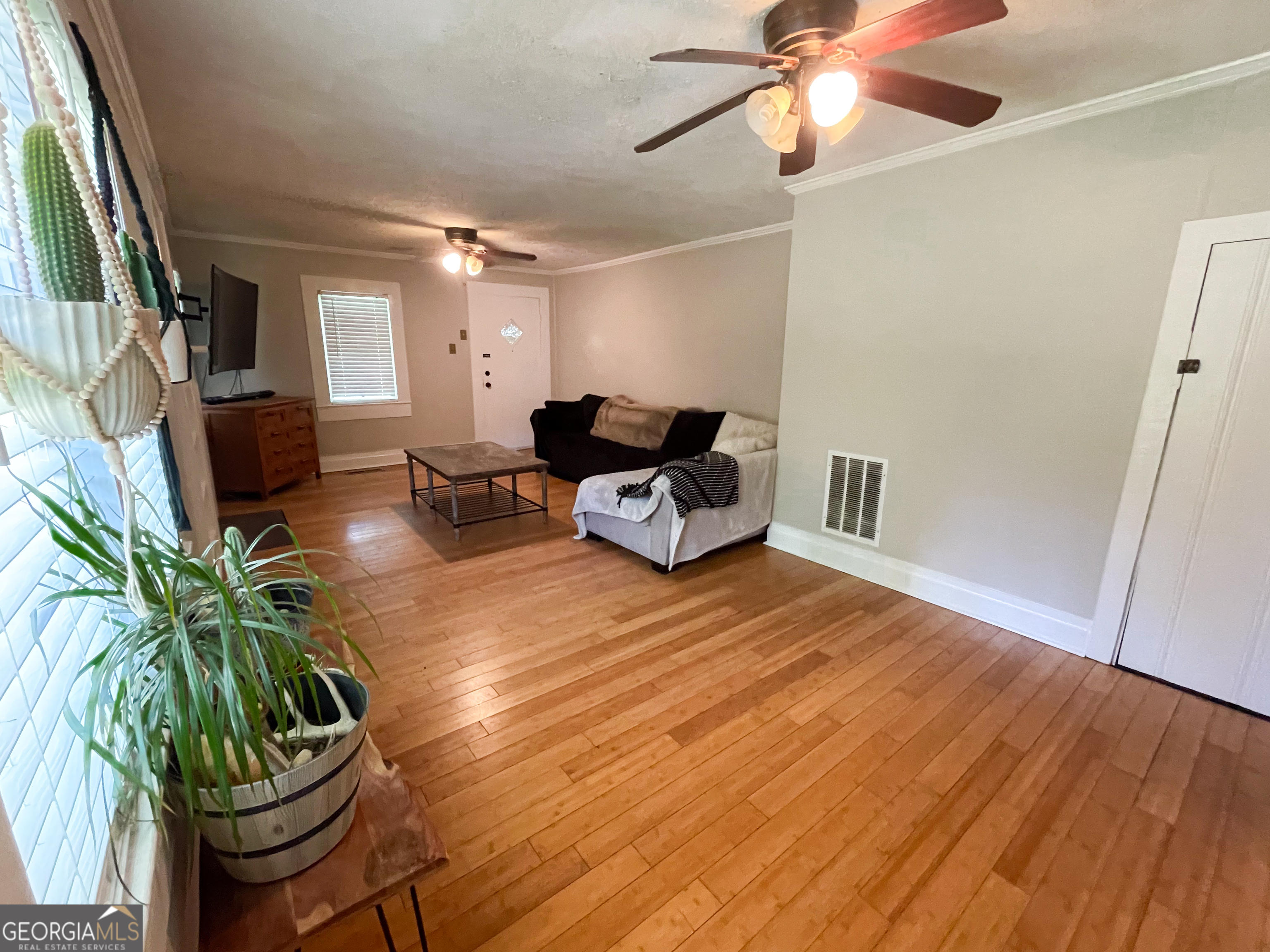 178 Mitchell Street Toccoa, GA 30577 - Photo 37 of 70 a living room with furniture and a potted plant