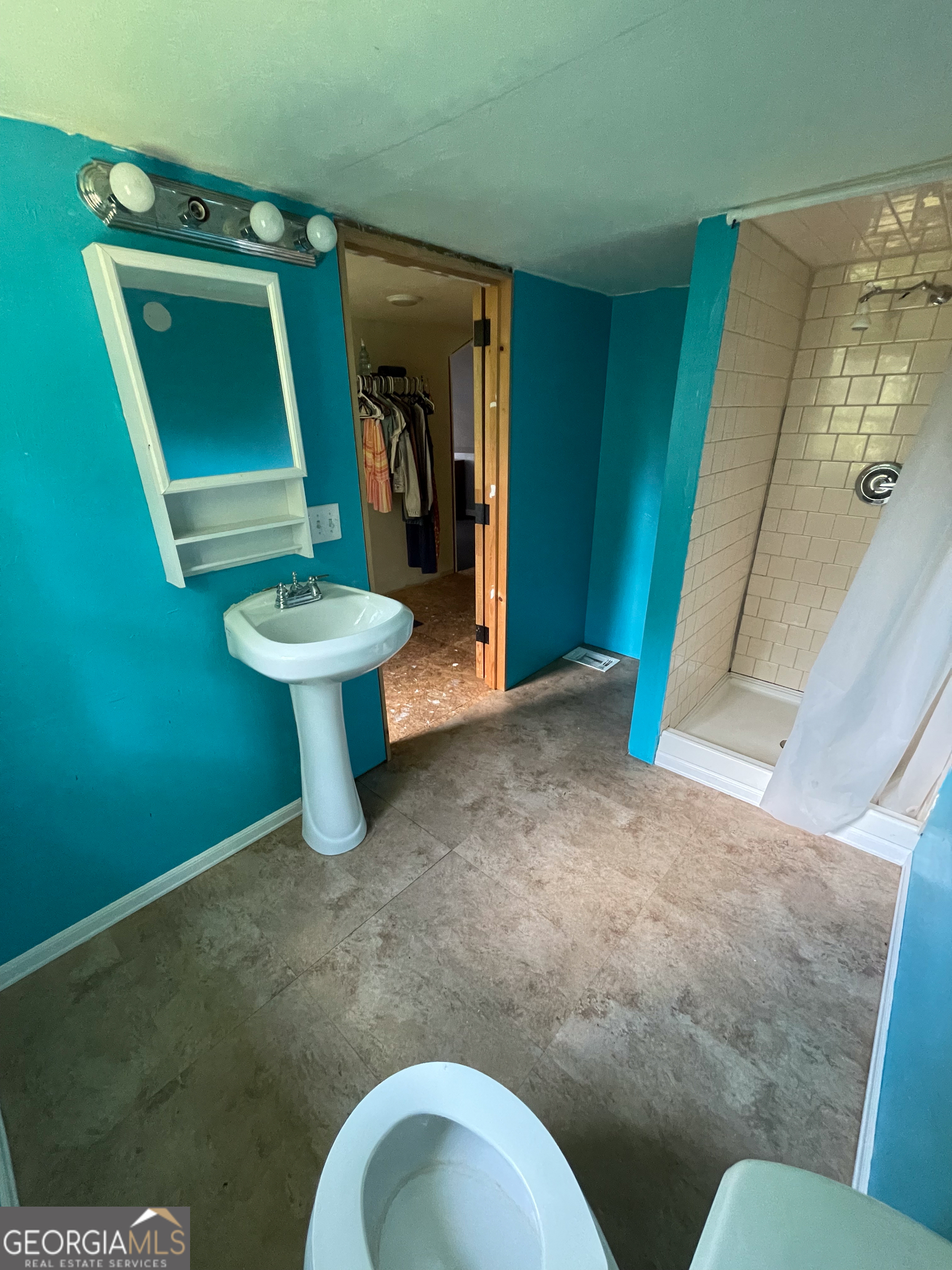 178 Mitchell Street Toccoa, GA 30577 - Photo 58 of 70 a view of bathroom with a toilet and a sink