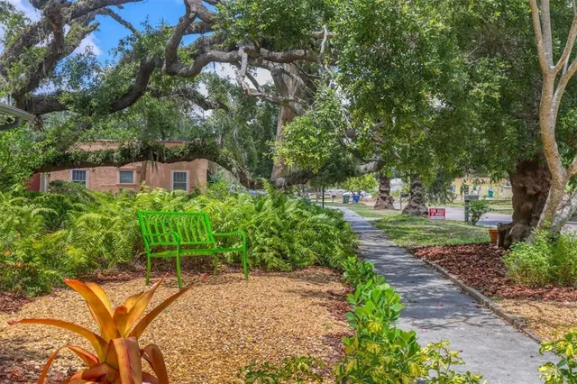 a view of a garden with pathway