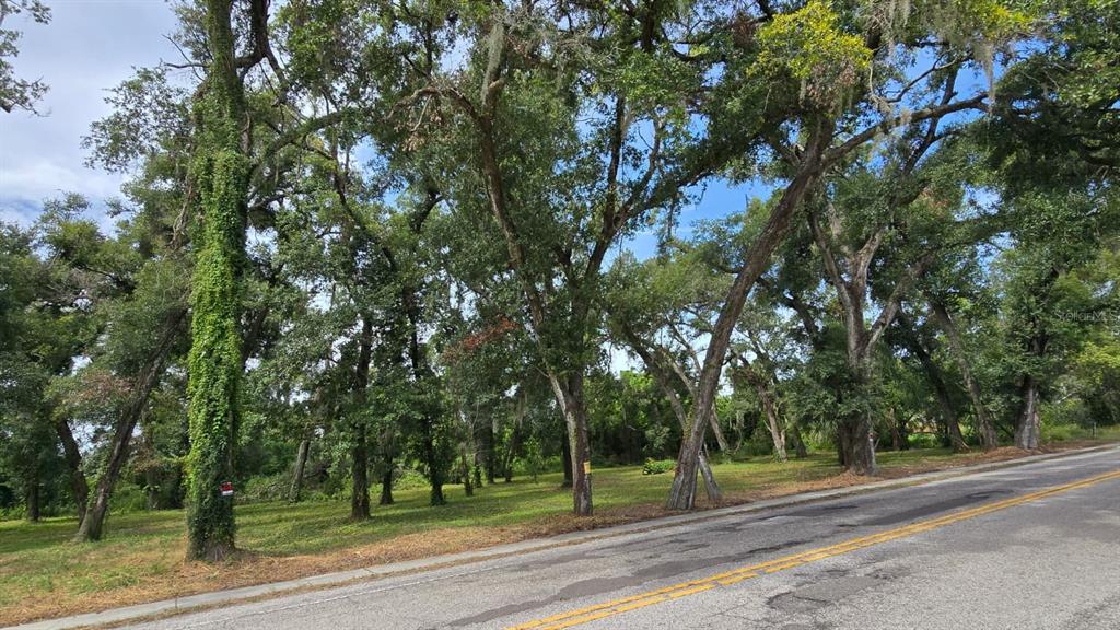712 Lithia Pinecrest Road Brandon, FL 33511 - Photo 1 of 9 Gallery Image 1