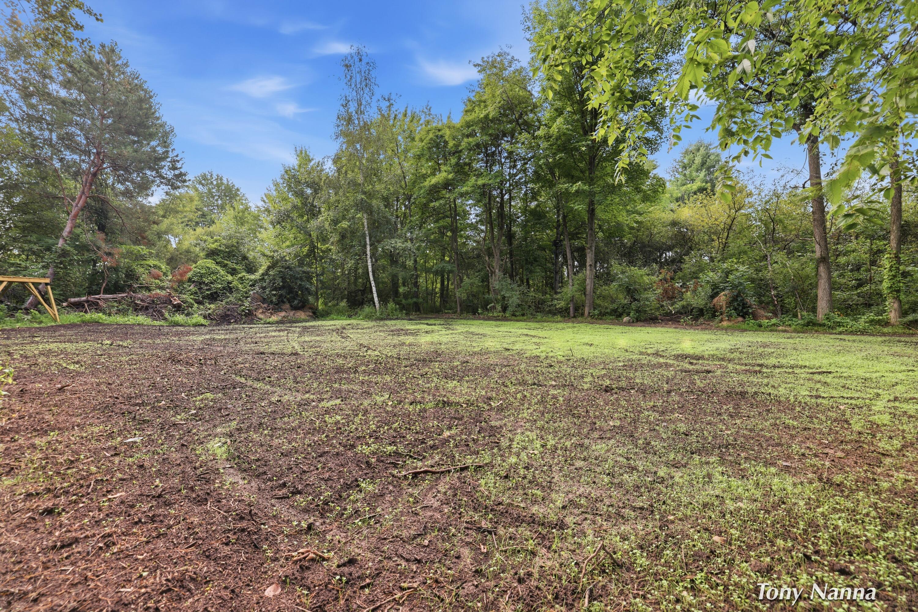 355 Shaw Road Bailey, MI 49303 - Photo 56 of 61 355 shaw rd_167