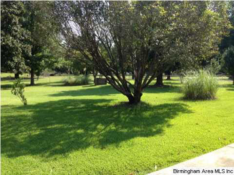 7914 Bethel Road Dora, AL 35062 - Photo 18 of 25