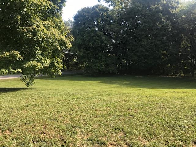 11665 Owens Chapel Road Springfield, TN 37172 - Photo 22 of 25 a view of a lake view