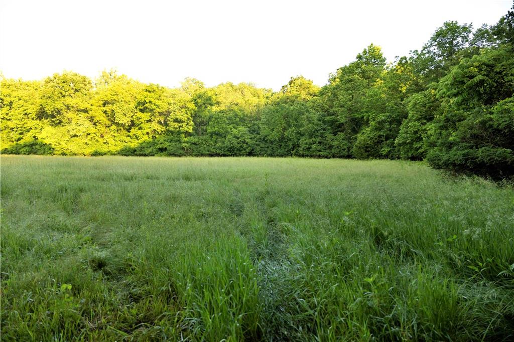 Wilderness Camp Road Lawson, MO 64062 - Photo 28 of 90