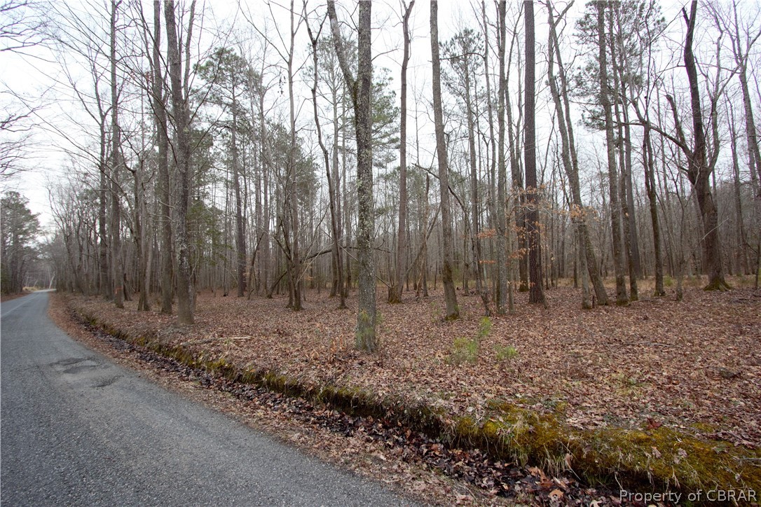 0 Plantation Road Gloucester, VA 23061 - Photo 2 of 5 Gallery Image 2