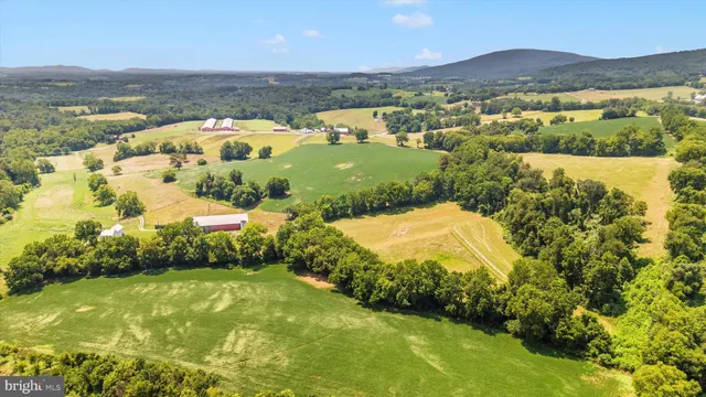 a view of a lake with a mountain