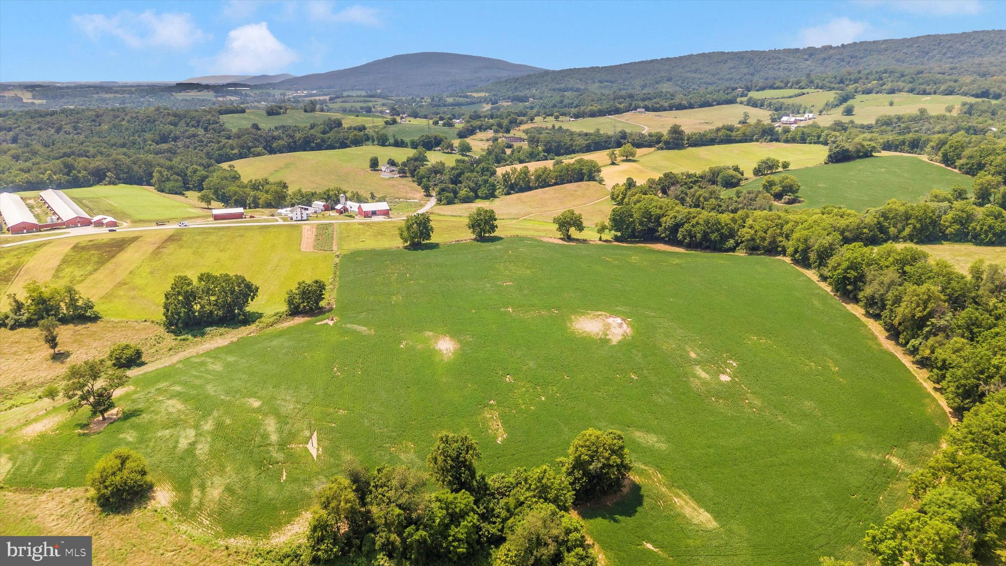 2820 Milt Summers Road Middletown, MD 21769 - Photo 14 of 88 22 acre crop field