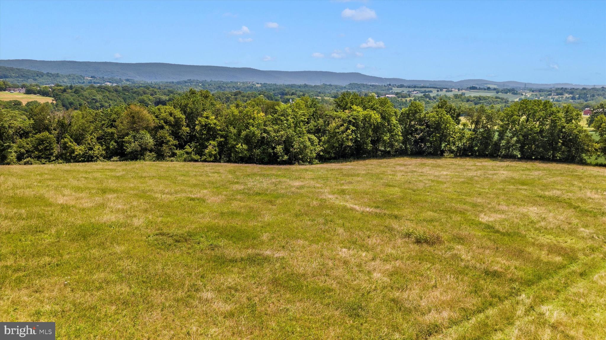 2820 Milt Summers Road Middletown, MD 21769 - Photo 15 of 88 a view of an outdoor space and a yard
