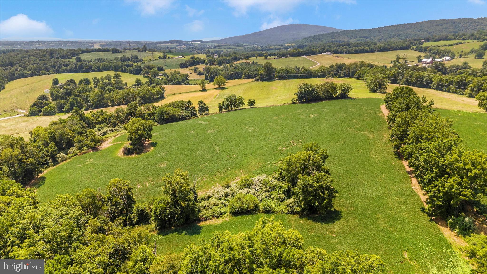 2820 Milt Summers Road Middletown, MD 21769 - Photo 16 of 88 a view of a lake with a mountain