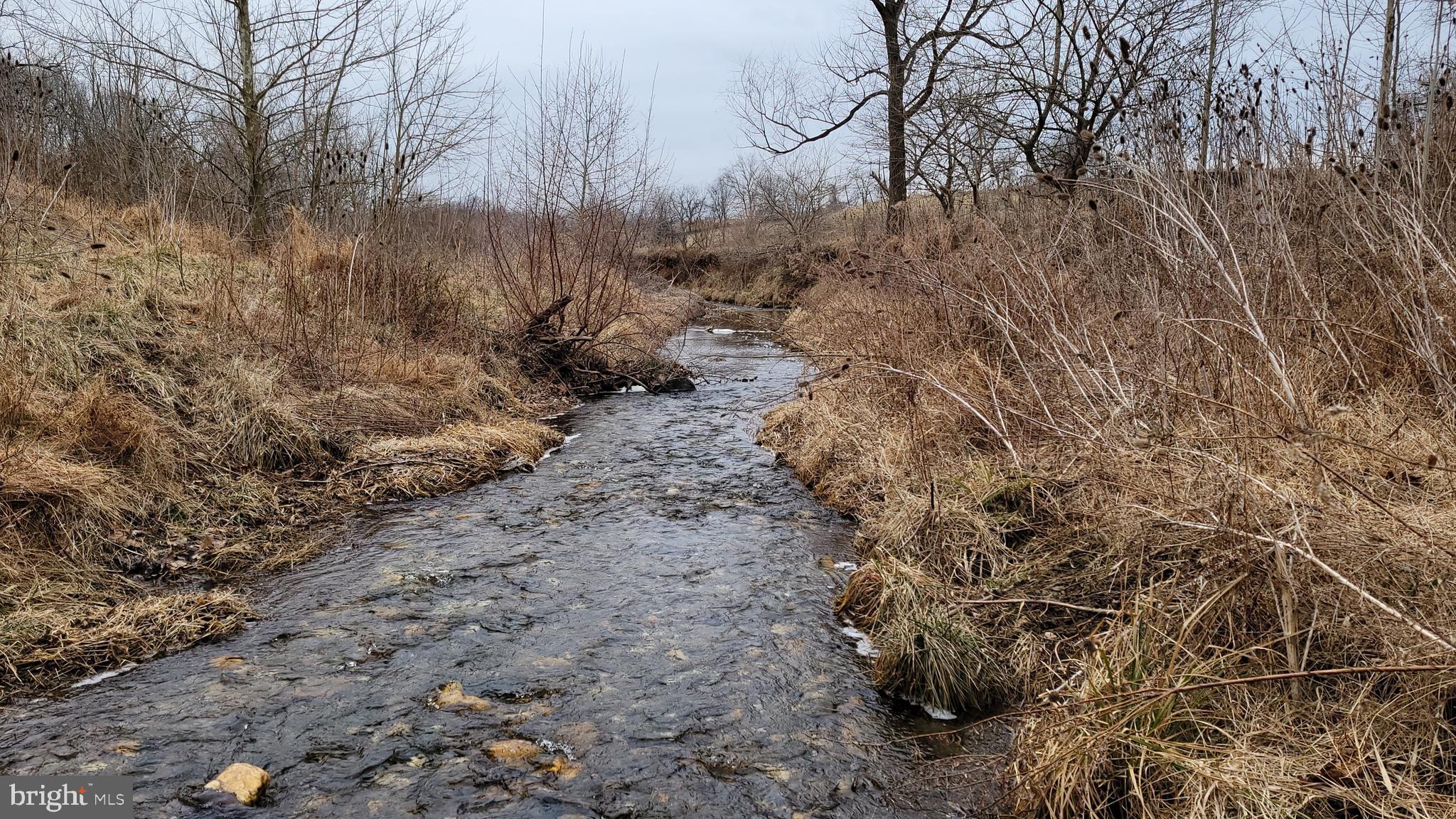 2820 Milt Summers Road Middletown, MD 21769 - Photo 21 of 88 a view of a dry yard with trees
