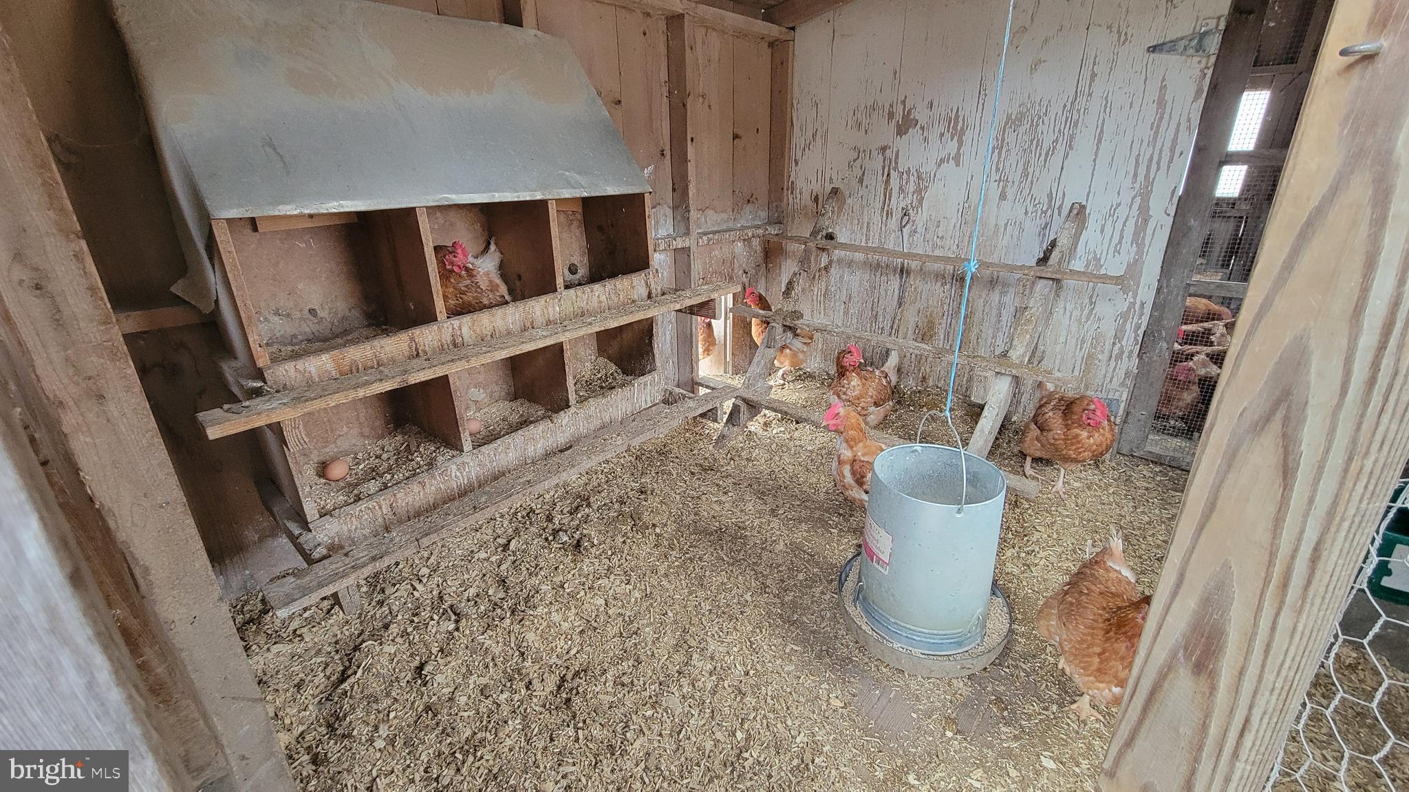 2820 Milt Summers Road Middletown, MD 21769 - Photo 60 of 88 nesting boxes