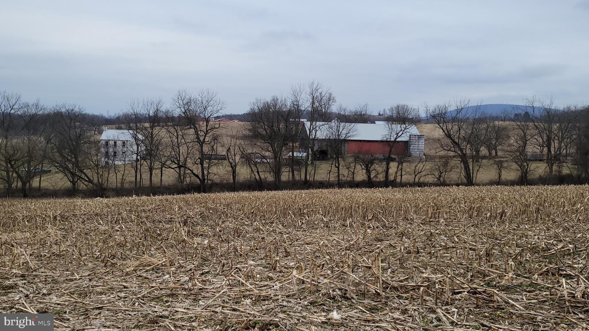 2820 Milt Summers Road Middletown, MD 21769 - Photo 67 of 88 7 ac row crop field, looking S towards curtilage