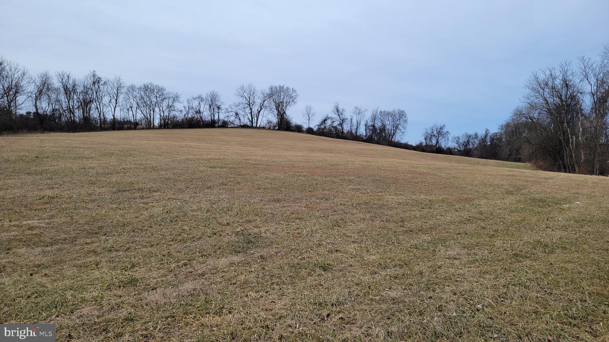 2820 Milt Summers Road Middletown, MD 21769 - Photo 69 of 88 a view of an outdoor space with trees