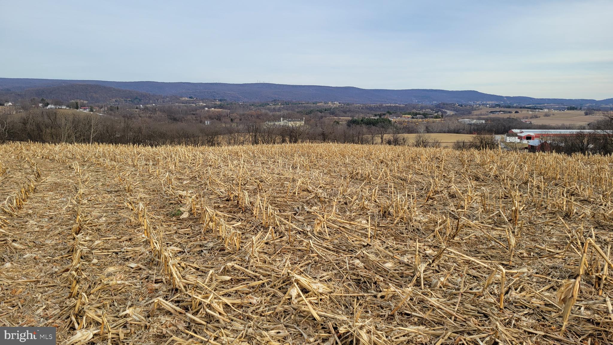 2820 Milt Summers Road Middletown, MD 21769 - Photo 74 of 88 view of lake and mountain