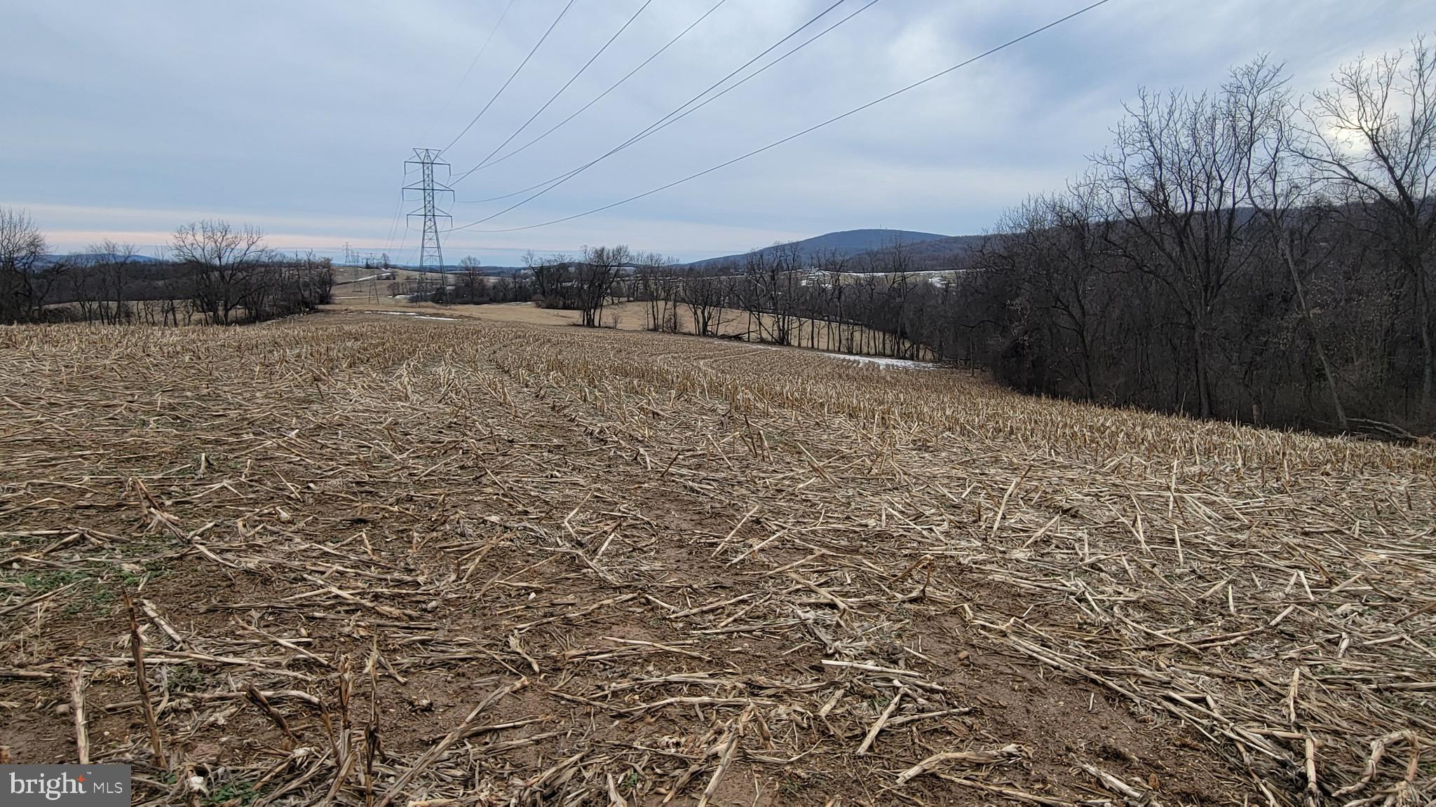 2820 Milt Summers Road Middletown, MD 21769 - Photo 75 of 88 8.5 acre row crop field