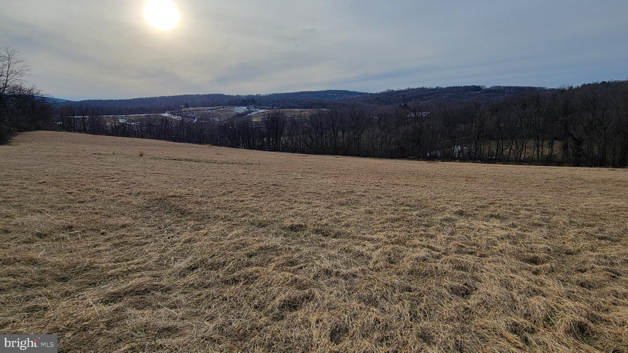 2820 Milt Summers Road Middletown, MD 21769 - Photo 78 of 88 a view of an outdoor space and a yard