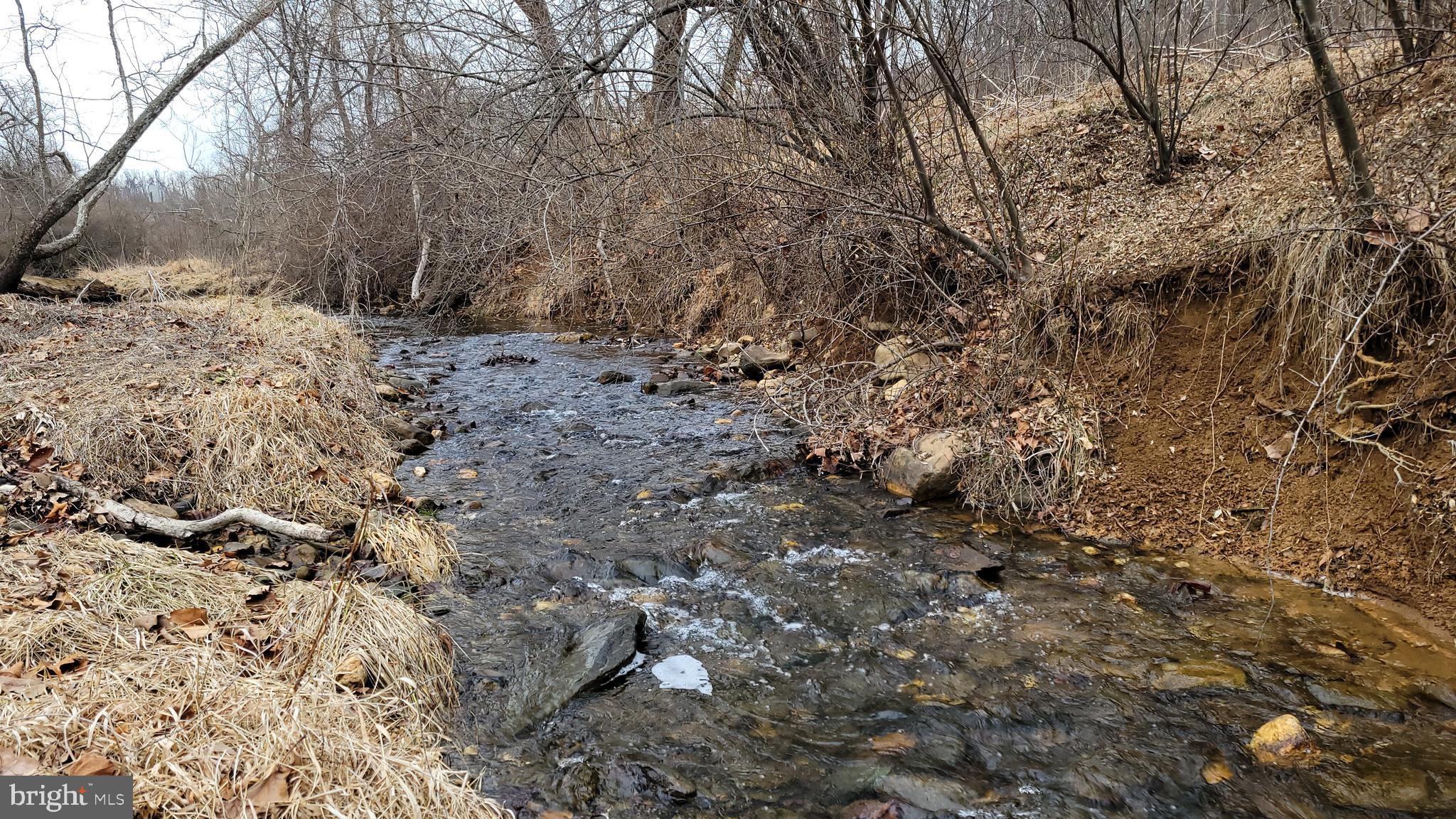 2820 Milt Summers Road Middletown, MD 21769 - Photo 82 of 88 Grindstone Run