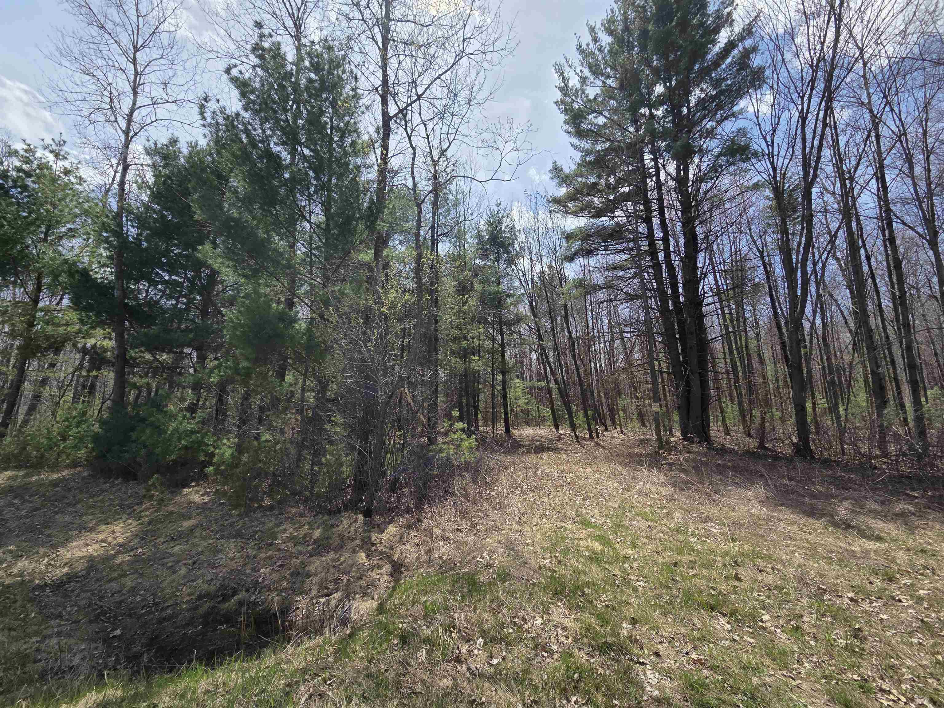 0 Deer Lane Stevens Point, WI 54481 - Photo 1 of 1