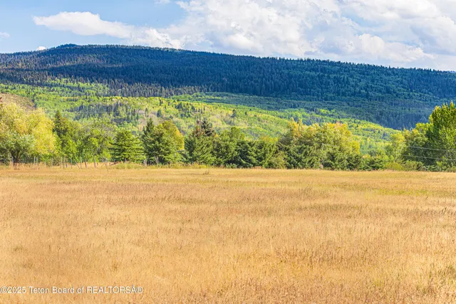 $1,335,000 | 80 Alta Meadows Road, Alta, WY 83414