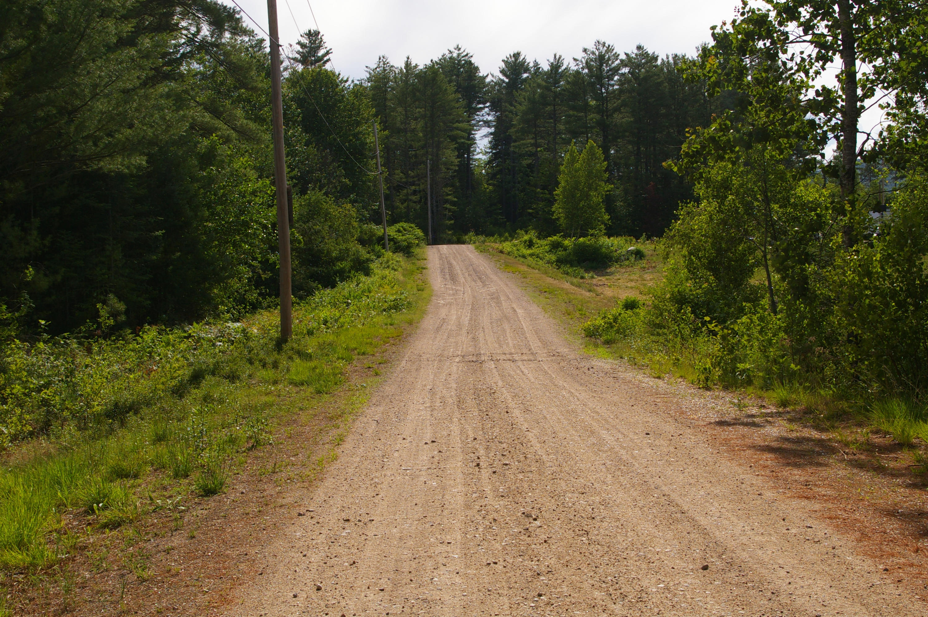 Lot #8 Rowe Lane Road Brownfield, ME 04010 - Photo 5 of 14 IMGP4093