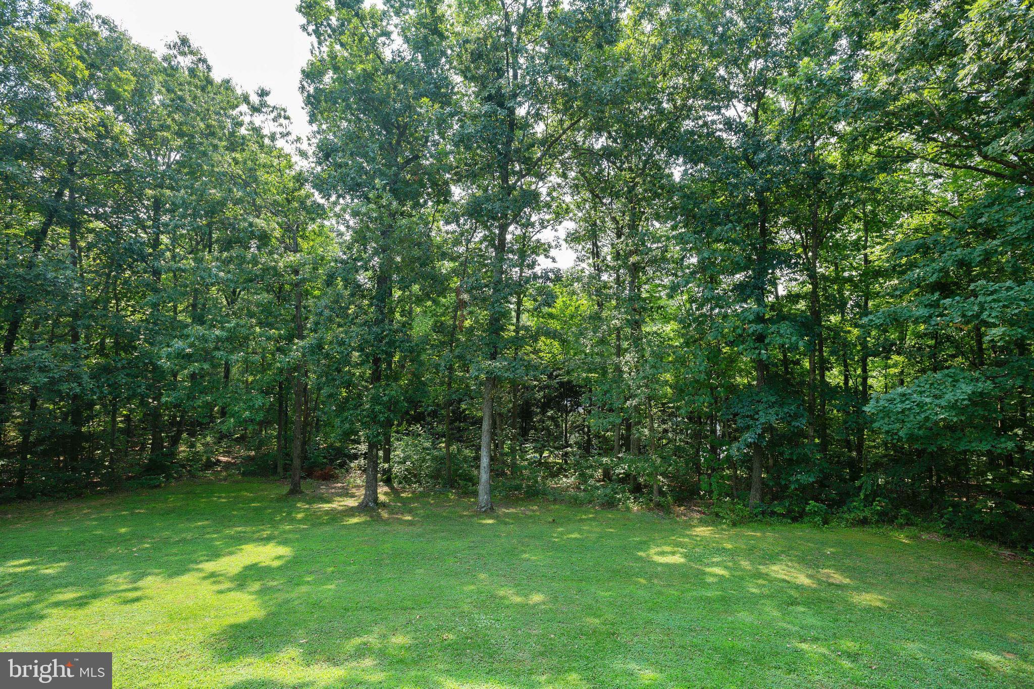 18263 Sumter Road Culpeper, VA 22701 - Photo 30 of 31 Gallery Image 30