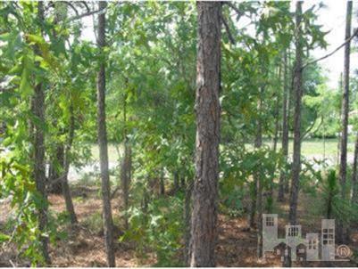 0 South Green Street Holly Ridge, NC 28445 - Photo 2 of 3 Additional Photo