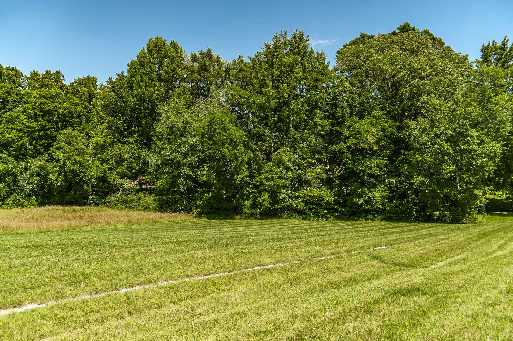 8326 Betts Road Greenbrier, TN 37073 - Photo 49 of 51