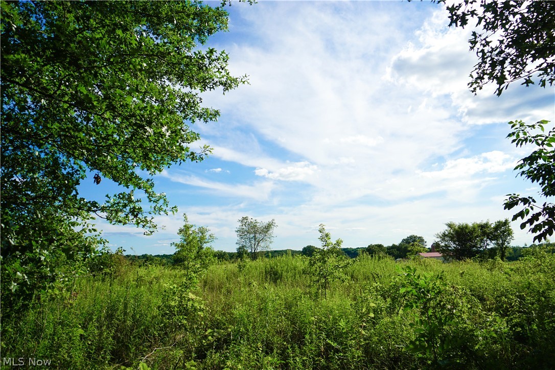 8237 Struthers Road Lowellville, OH 44436 - Photo 1 of 18 Gallery Image 1